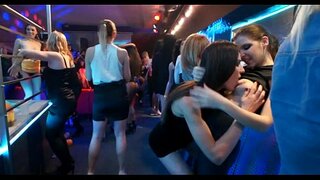 Strring fins mels i blocs salvatge necessitats